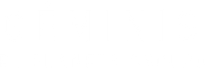 Project Gemini — Logos 10