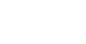 Свадьба в Малиновке — Logos 1