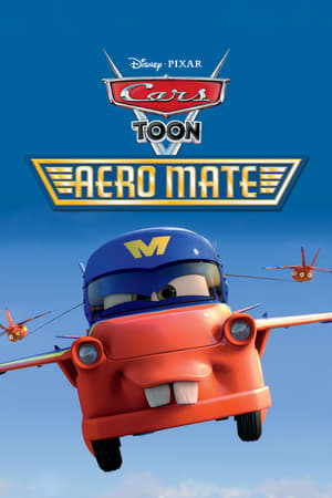 Image Air Mater