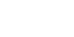 Ảnh 219