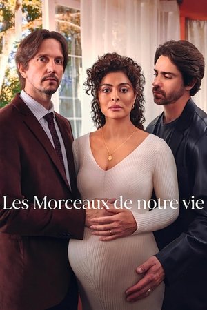 Les Morceaux de notre vie movie poster