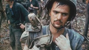 The Vietnam war: Part 2 - Political chaos