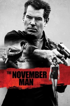 Poster The November Man 2014