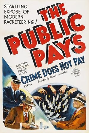 The Public Pays poster