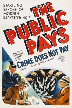 Poster The Public Pays 1936
