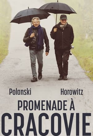 Poster Promenade à Cracovie 2021