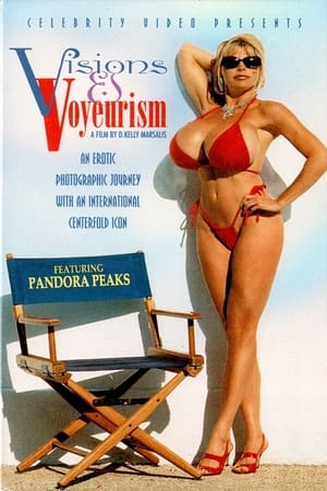 Poster Visions and Voyeurism (1998)