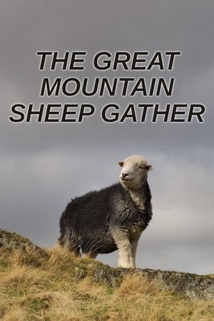 Poster The Great Mountain Sheep Gather (2020)