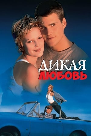 Poster Дикая любовь 1995