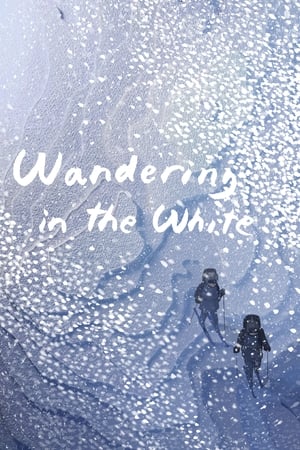 Poster Wandering in the White 2019