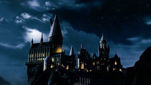 Harry Potter – Colección