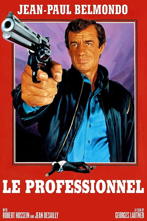 The Professional 28