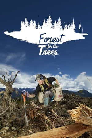 Forest for the Trees film complet