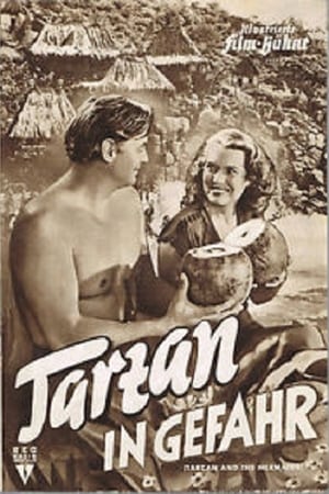 Poster Tarzan in Gefahr 1948