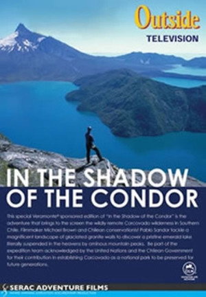 In the Shadow of the Condor