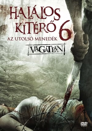 Poster Halálos kitérő 6. 2014