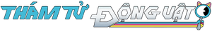 Ảnh 49