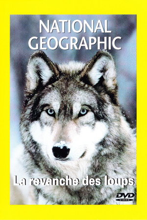 In the Valley of the Wolves 4