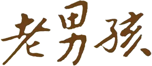 11度青春之老男孩 — Logos 1