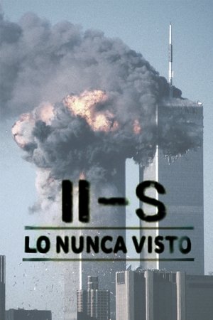 11-S: Lo nunca visto (2005)