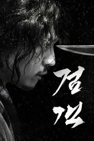 The Swordsman