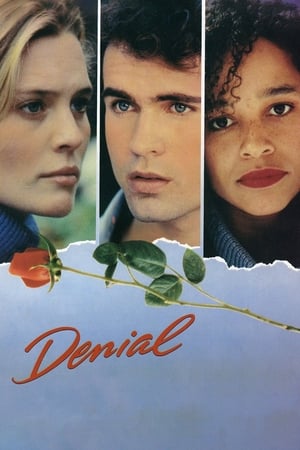 Poster Denial - O Lado Escuro da Paixão 1990