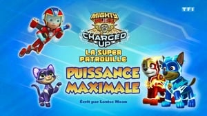 Paw Patrol Helfer auf vier Pfoten: 6×39