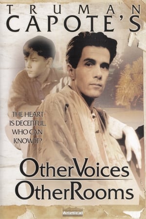 Poster Other Voices Other Rooms (1995)