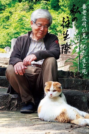 養老孟司
