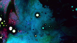 Stellar