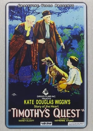 Poster Timothy's Quest 1922