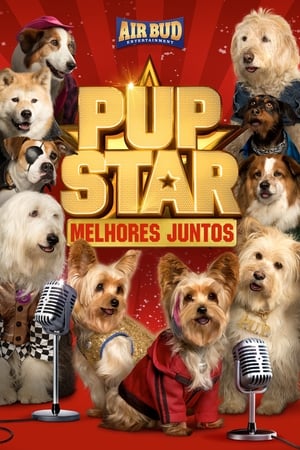 Poster Estrelas Caninas - A União Faz a Força 2017