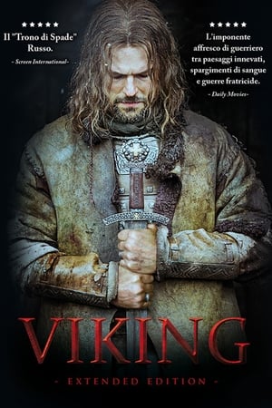 Poster Viking 2016