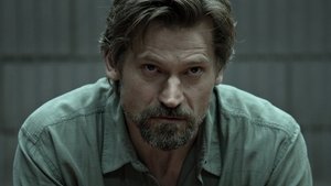 SMALL CRIMES (2017)