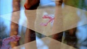 CSI: Miami 6 – Episodio 10