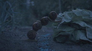 Night of the gastropods