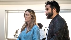 Blindspot: Mapa zbrodni: Sezon 3 Odcinek 3