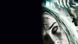 L’exorcisme D’Anna Ecklund (2016)