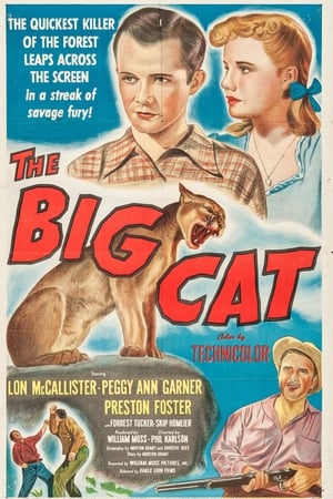 Poster The Big Cat 1949