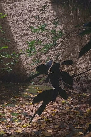 Filme excluído (2026)