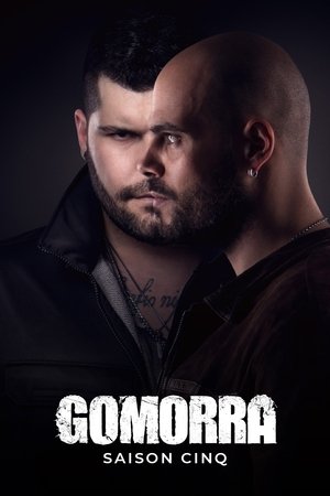 Saison 5
