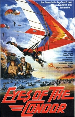 Poster Eyes of the Condor (1987)