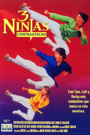 Poster 3 ninjas contraatacan 1994