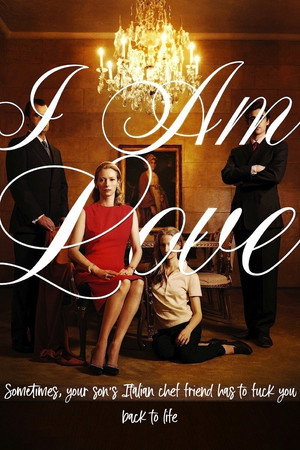 Постер фильма «Я – это любовь (2009)» — (14 из 27)