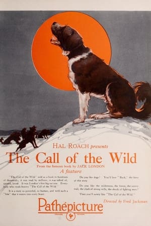 The Call of the Wild poster