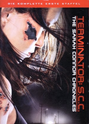 Terminator: The Sarah Connor Chronicles: Staffel 1