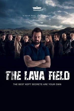 Poster The Lava Field 2014