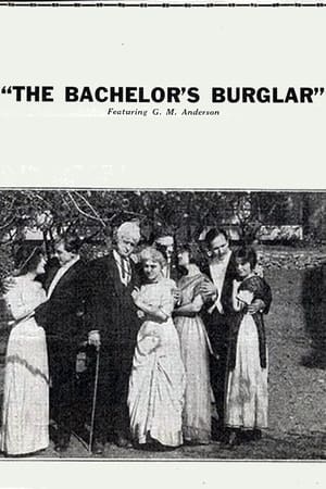 Poster The Bachelor's Burglar (1915)