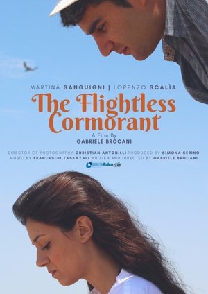 Poster di Mara dei Cormorani