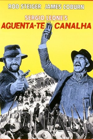 Image Aguenta-te, Canalha!